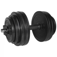 Гантель разборная BARFITS Sportcom D26 29кг