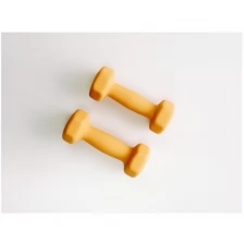 Гантели для пилатеса ONLYTOP, (2*1 кг)